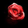 d4vd - Romantic Homicide - Live Version