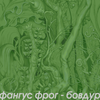 Фангус Фрог - Бовдур