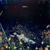 Body/Negative - everett