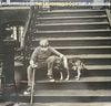 The Laughing Dogs - The Laughing Dogs