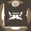 levelboy - levelflop