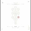 The Book Beri'ah Vol. 7: Netzach