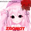 Marco Sticla - ZGOMOT