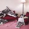 ねごと [NEGOTO] - Ex Negoto