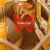 Carbon Leaf - Indian Summer
