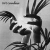 RVO Soundhouse - Feels