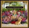 DJ Khaled - Wild Thoughts