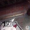 noelleallowed - FOREVER METHOD
