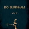 Bo Burnham - what.