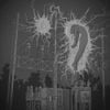 dutchmasters - substation, my home. melancholy, my bride.