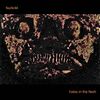 Fsuhcikt - holes in the flesh