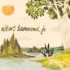 Albert Hammond Jr. - Yours to Keep