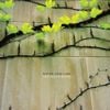 Windy & Carl - The Dream House / Dedications to Flea