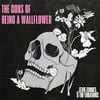 Eevie Echoes - The Cons of Being a Wallflower