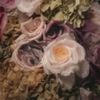 Blanket - Ceremonia