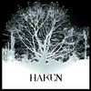 Haken - Enter the 5th Dimension