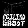White Spine Shore - Ceilingghost