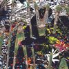 Merzbow - Noise 5706