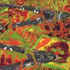Merzbow - Orthogenesis