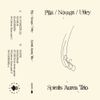 Stefano Pilia, Alessandra Novaga & Adrian Utley - Spiralis Aurea Trio
