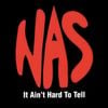 Nas - It Ain't Hard to Tell