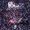 Whatsdysmorphia - the process of&hellip;