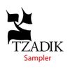Various Artists - Tzadik Sampler