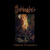 Nightwalker - Grimoire Tenebrarum