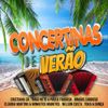 Various Artists - Concertinas de Ver&atilde;o