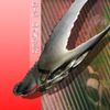 Vektroid - Big Danger