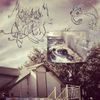 myuncleisavictimoftheopioidcrisis - depravity / morality