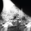 Godspeed You! Black Emperor - Peasantry or 'Light! Inside of Light! (Excerpt)