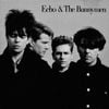 Echo & the Bunnymen