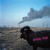 bnkr44 - GOVERNO PUNK