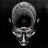 The Lumbar Endeavor - The Dead Sea