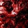Excrescence - Inescapable Anatomical Deterioration