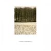 Atmosphere / She's Lost Control
