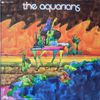 The Aquarians - Jungle Grass