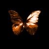 Blacklit Canopy - Patient Demos (Deluxe)