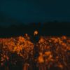 Benjamin Francis Leftwich - Some Things Break
