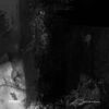 Bad Angels - Black Background
