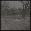 Far From Away - Little Bits of Muddy Pits