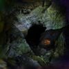 Shed Theory - Cave