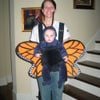 aaron’s book club - Butterfly