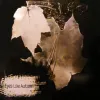 Eyes Like Autumn - Demo