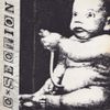 SWEET SPINE - C-Section