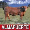 Almafuerte - Toro y pampa