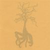 Widows & Orphans - Everything Is Gold
