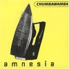 Chumbawamba - Amnesia