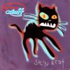 Big Heavy Stuff - Skin a Cat
